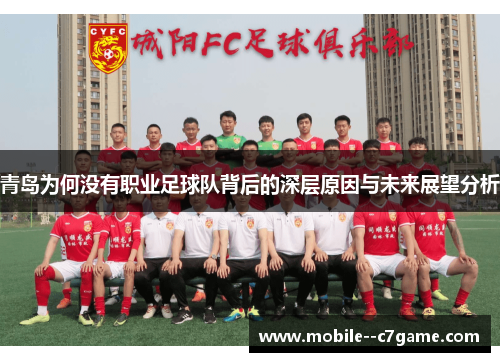 青岛为何没有职业足球队背后的深层原因与未来展望分析 青岛为何没有职业足球队背后的深层原因与未来展望分析