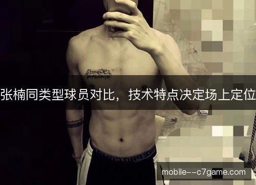 张楠同类型球员对比,技术特点决定场上定位 张楠同类型球员对比,技术特点决定场上定位